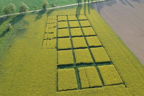 DCIM/100MEDIA/DJI_0270.JPG DCIM/100MEDIA/DJI_0270.JPG