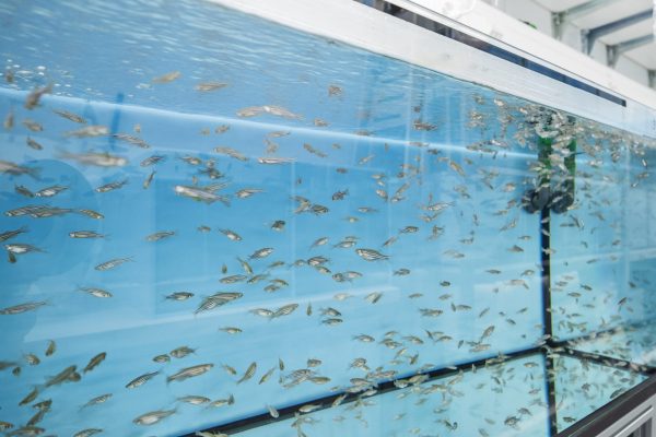 2018_05_28 IES 005_w2i1501 2018_05_28 IES 005_w2i1501