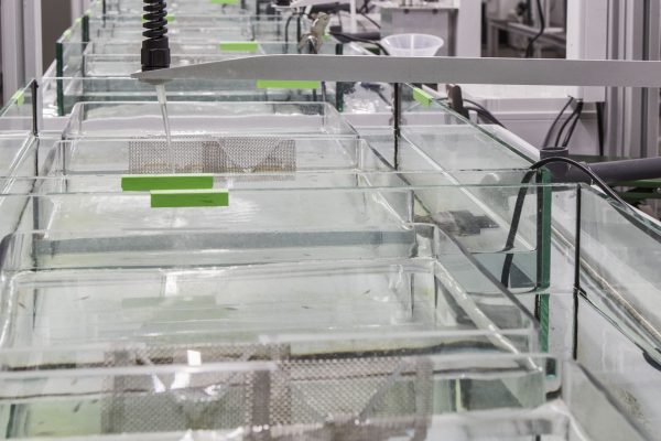 2018_11_16 IES _w2i2417 2018_11_16 IES _w2i2417