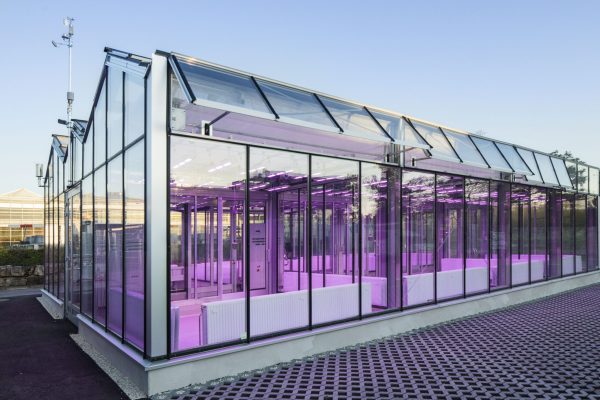 2020_05_07 IES Purple Greenhouse_U0A1315 2020_05_07 IES Purple Greenhouse_U0A1315