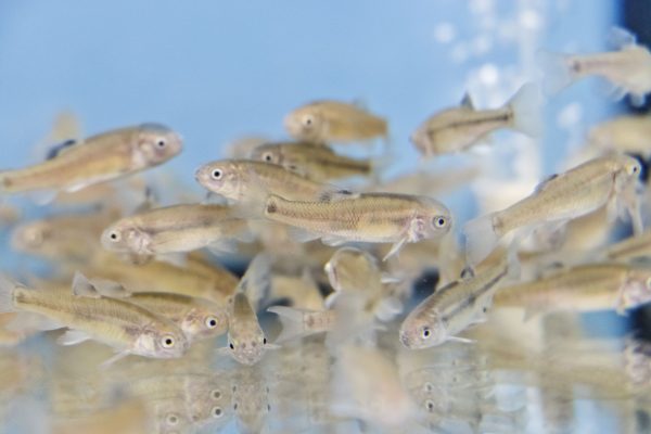 2022_04_04 IES photo video_b9a7222 2022_04_04 IES photo video_b9a7222