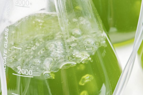 2022_04_04 IES photo video_b9a7434 2022_04_04 IES photo video_b9a7434