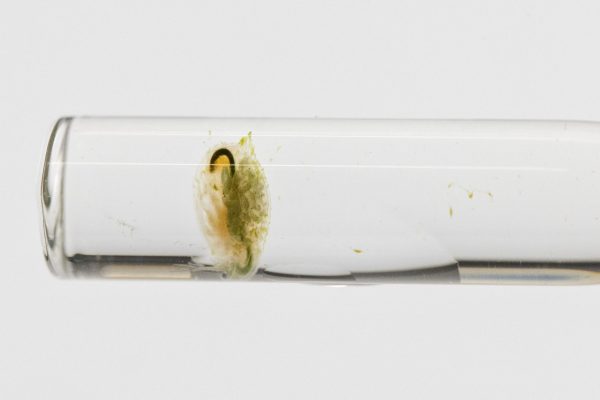 2022_04_04 IES photo video_b9a7530 2022_04_04 IES photo video_b9a7530