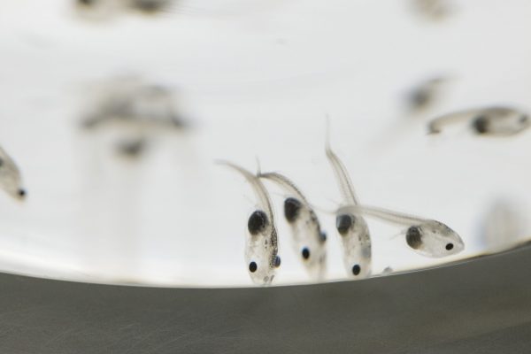 2022_04_04 IES photo video_b9a7640 2022_04_04 IES photo video_b9a7640