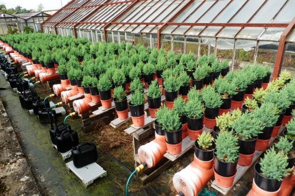 OLYMPUS DIGITAL CAMERA OLYMPUS DIGITAL CAMERA