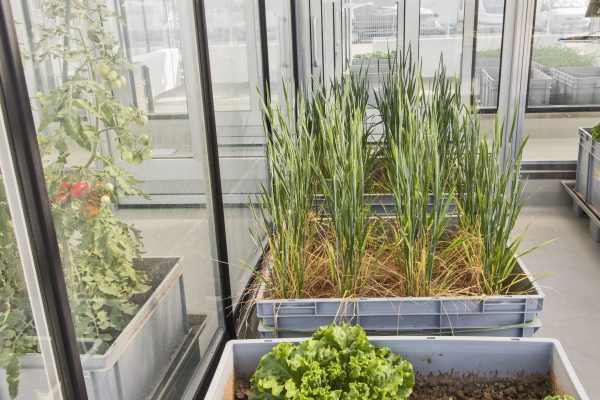 metabolism 3 metabolism 3